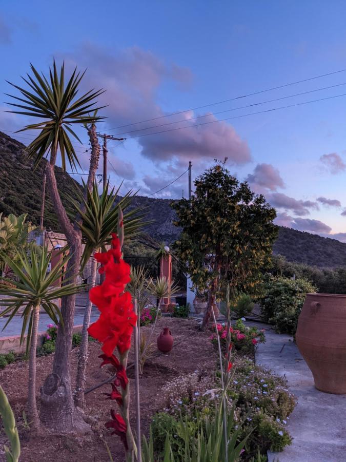 Holiday home House Of Polymnia Sissi (Crete)